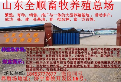 堆龍德慶縣優(yōu)質(zhì)波爾山羊成年種羊及畜牧漁業(yè)飼料銷(xiāo)售服務(wù)