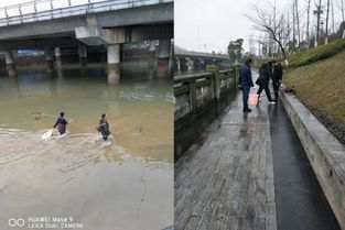 區(qū)畜牧局重拳出擊 多措并舉開展?jié)O業(yè)“打非”專項(xiàng)行動(dòng)，規(guī)范畜牧漁業(yè)飼料銷售市場